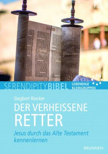 Serendipity: Der verheißene Retter