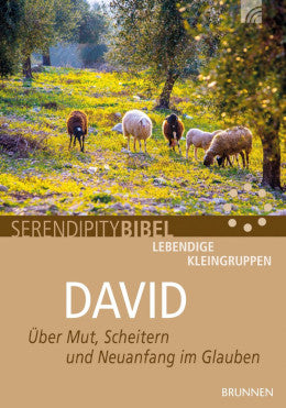 Serendipity: David