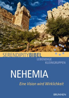 Serendipity: Nehemia