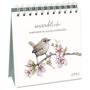 AugenBlicke - Aufstellbuch